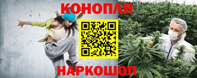 PSILOCYBIN Туймазы