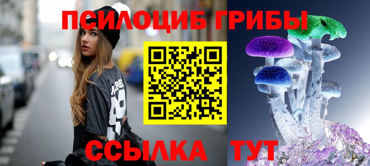 Псилоцибиновые грибы GOLDEN TEACHER Изобильный